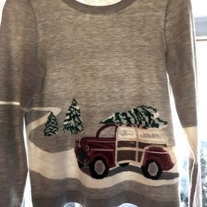 Talbots ADORABLE lightweight winter sweater